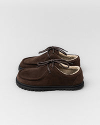 Winter Brown