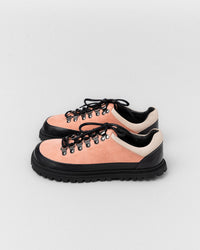 Wild Salmon